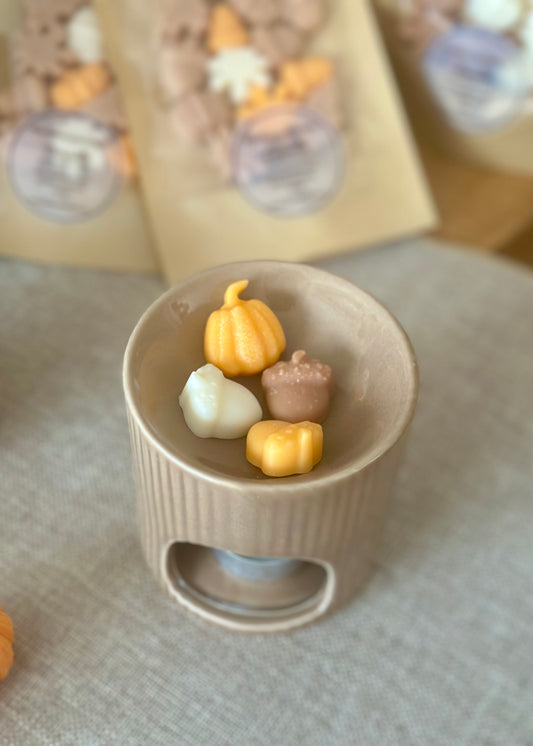 Lot de 14 fondants parfumés