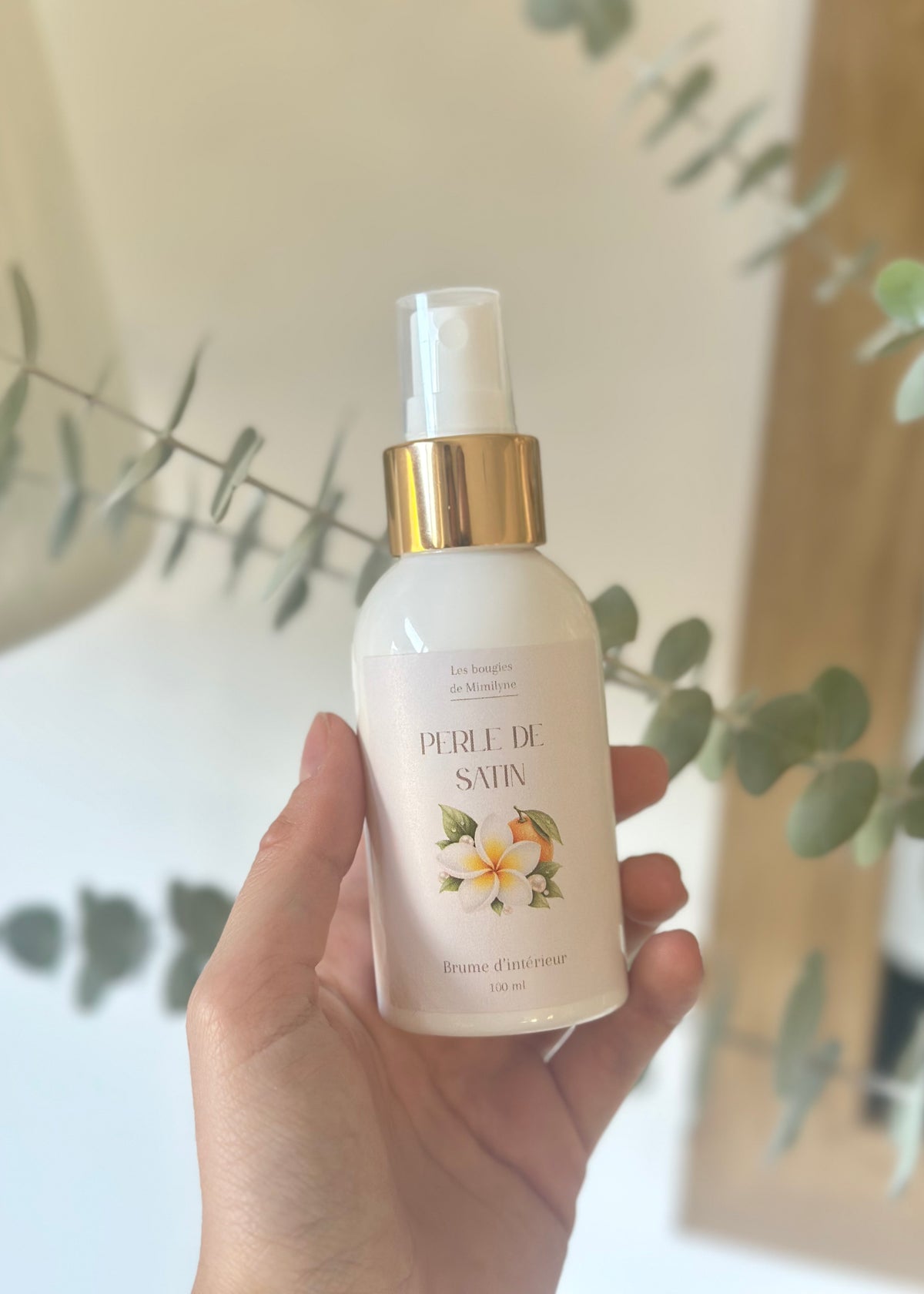 Brume d’intérieur